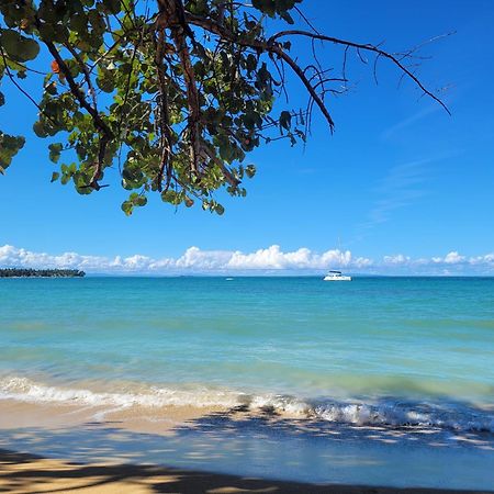 Las Terrenas, La Fenice, Playa Popy Eksteriør billede